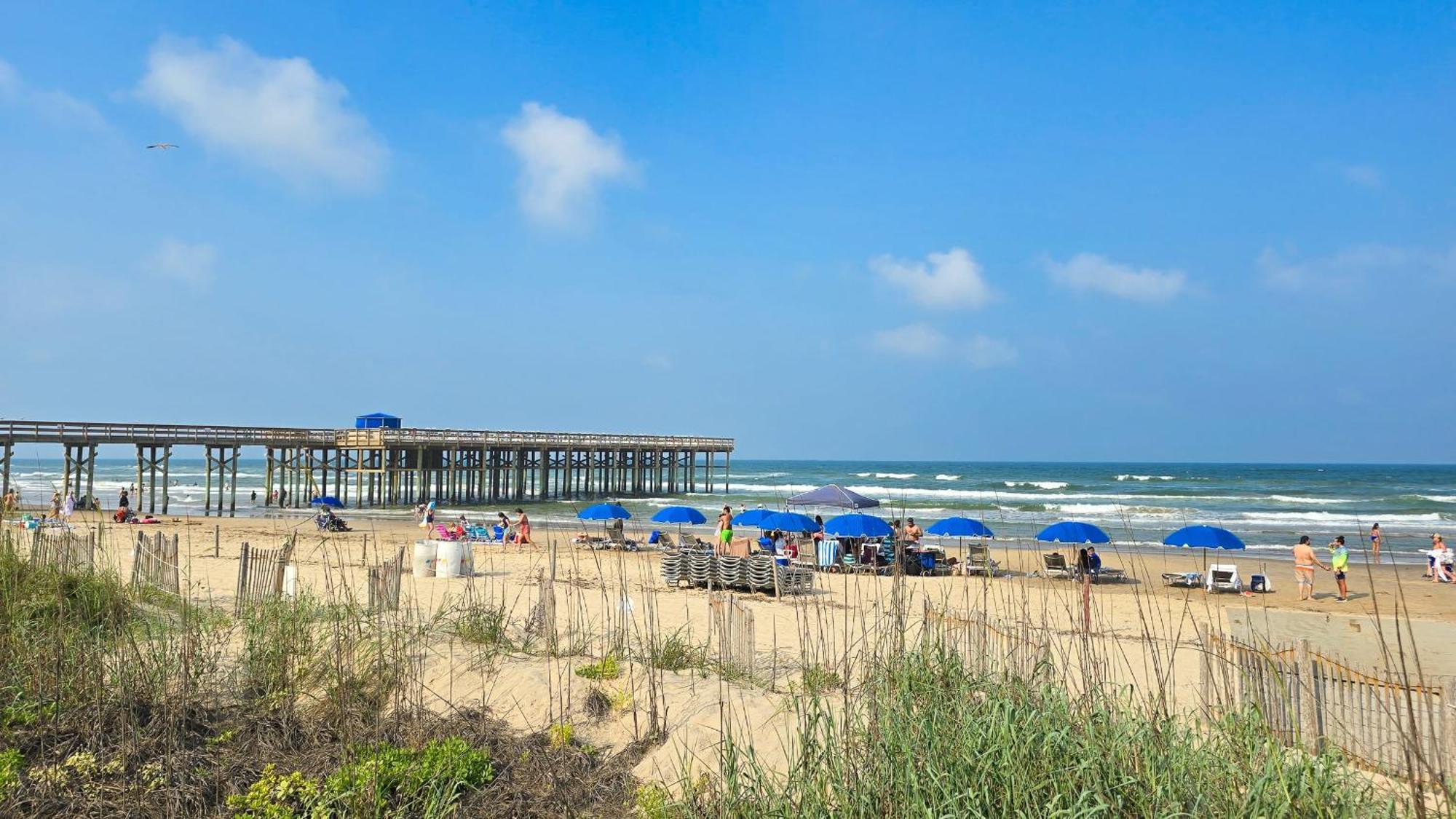 Herons Haven Coastal Elegance With Pool Access 223 South Padre Island Buitenkant foto