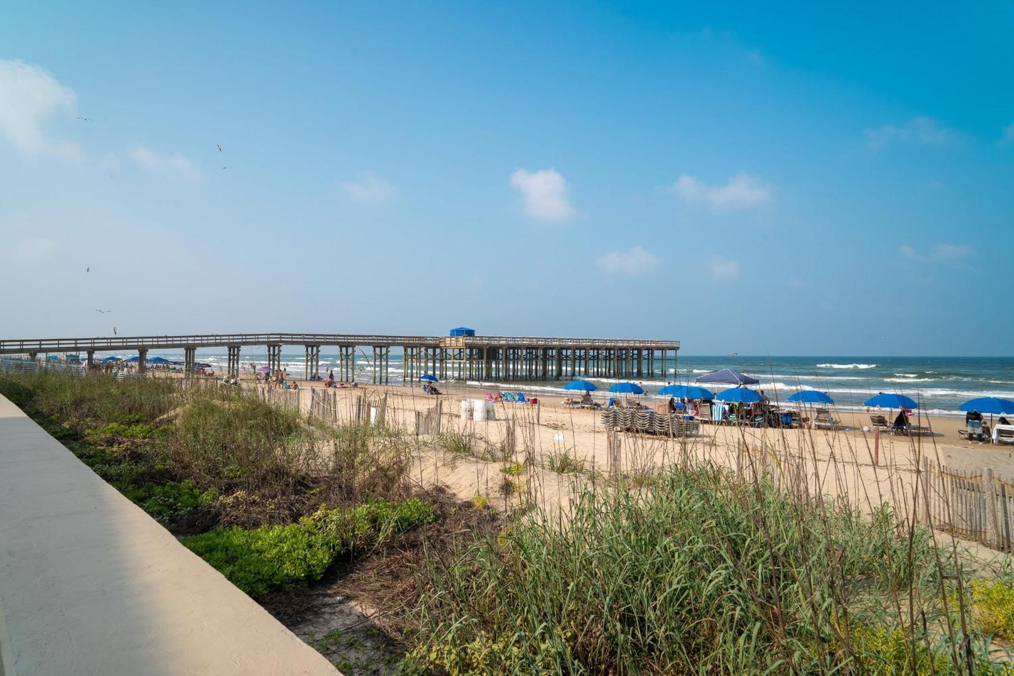 Herons Haven Coastal Elegance With Pool Access 223 South Padre Island Buitenkant foto
